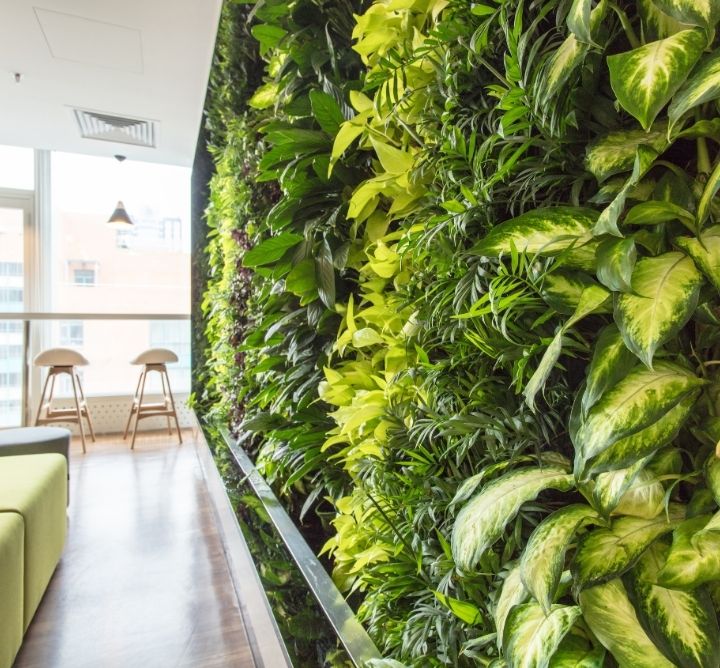 Greenery Wall in hotel. 